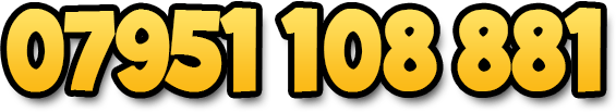 07951 108 881
